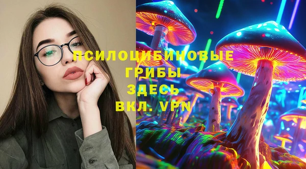 хмурый Балабаново