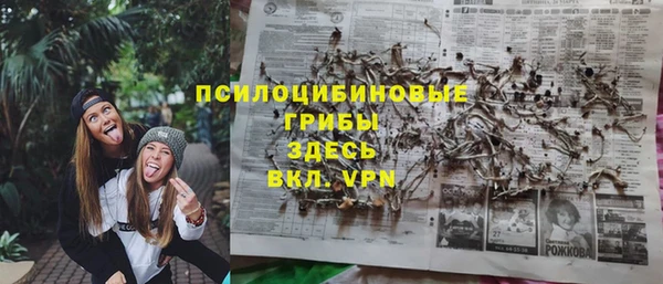 хмурый Балабаново