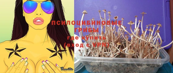 хмурый Балабаново